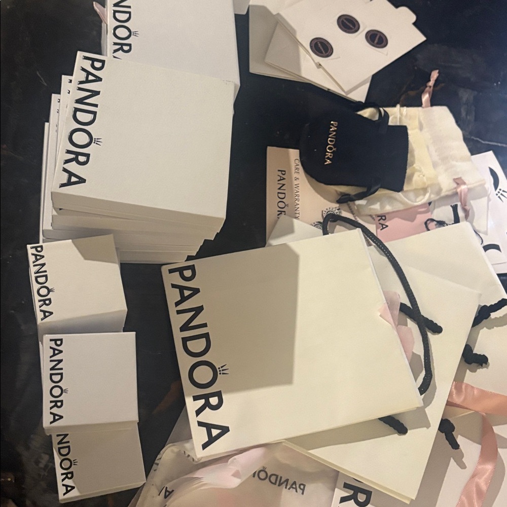 Pandora Bundle - image 7
